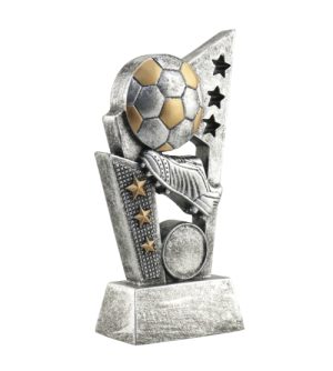 Alternative view of Star Player Football Award