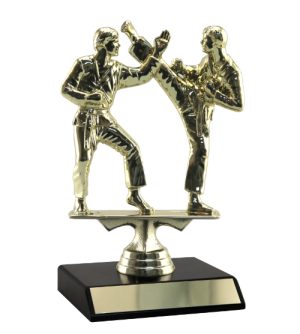 Karate Gold Male Fighters & Base